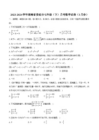 2023-2024学年湖南省娄底市七年级（下）月考数学试卷（3月份）（含解析）