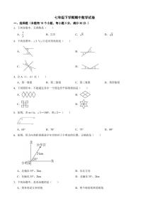 广东省广州2024年七年级下学期期中数学试卷及答案