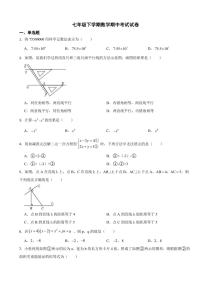 河北省石家庄2024年七年级下学期数学期中考试试卷及答案
