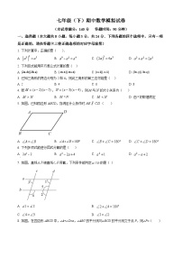 +江苏省徐州市丰县2023-2024学年七年级下学期期中数学模拟试题++