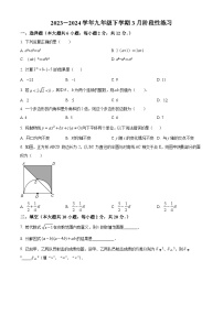 江苏省南京市江宁区竹山中学2023-2024学年九年级下学期期中数学试题（原卷版+解析版）