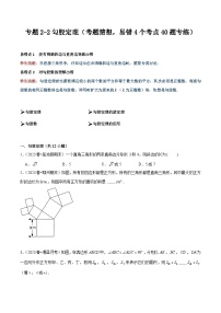 【期中讲练测】人教版八年级下册数学 专题2-2勾股定理 易错专练 .zip