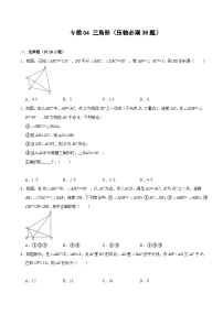 【期中讲练测】北师大版七年级下册数学 专题04 三角形（压轴专练）.zip