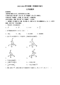 安徽省合肥市庐江县2023-2024学年七年级下学期期中数学试题