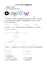 2024年广东省东莞市海德实验中学中考一模考试数学试题（原卷版+解析版）