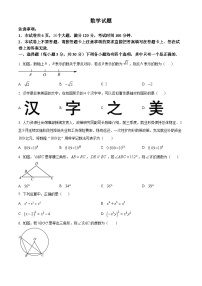2024年河南省漯河市李集镇九年级中考一模数学模拟试题（原卷版+解析版）