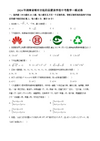 2024年湖南省郴州市桂阳县蒙泉学校中考一模数学试题（原卷版+解析版）