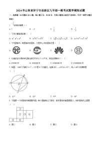 2024年山东省济宁市高新区九年级一模考试数学模拟试题 （原卷版+解析版）