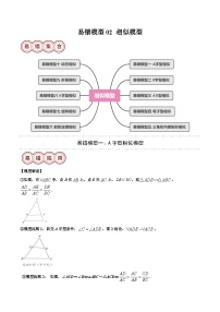 易错模型02 相似模型（十大易错分析+变式训练+易错题通关）-备战2024中考数学考试易错题