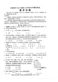 2024年四川省泸州市泸县中考二模数学试题