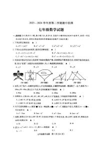 江苏省徐州市沛县2023-2024学年七年级下学期期中数学试题