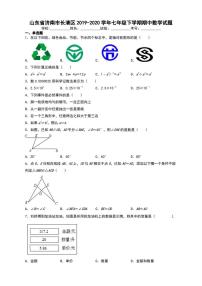 山东省济南市长清区2019-2020学年七年级下学期期中数学试题【含答案】