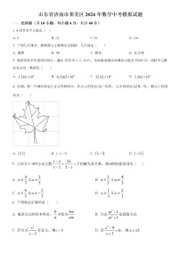 2024年济南市莱芜区数学中考模拟试题一（含答案）