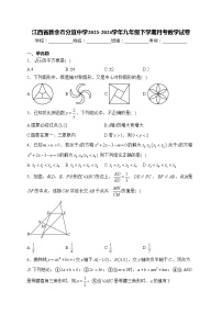 江西省新余市分宜中学2023-2024学年九年级下学期月考数学试卷(含答案)