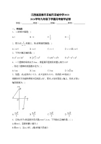 江西省宜春市丰城市丰城中学2023-2024学年九年级下学期月考数学试卷(含答案)