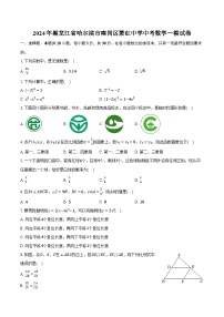 2024年黑龙江省哈尔滨市南岗区萧红中学中考数学一模试卷（含解析）