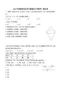 2024年湖南省张家界市桑植县中考数学一模试卷（含解析）
