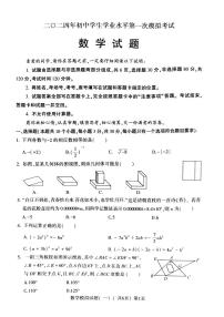 山东省聊城市莘县2023—-2024学年九年级下学期期中数学试题