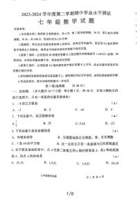 山东省济宁市嘉祥县2023-2024学年七年级下学期期中测试数学试题