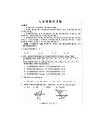 山东省菏泽市鲁西新区2023-2024学年七年级下学期期中数学试题