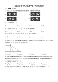 江苏省淮安市洪泽区2023-2024学年九年级下学期3月月考数学试题（原卷版+解析版）