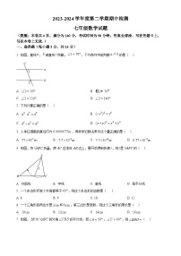 江苏省徐州市鼓楼区鼓楼十校2023-2024学年七年级下学期4月期中数学试题（原卷版+解析版）