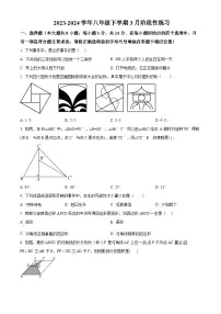 江苏省徐州市沛县第五中学2023-2024学年八年级下学期3月阶段性练习数学试题（原卷版+解析版）