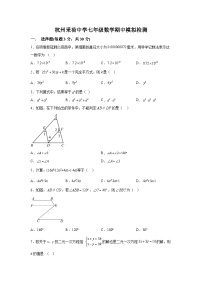 浙江省杭州市采荷中学2023-2024学年七年级下册期中模拟数学试题（含解析）