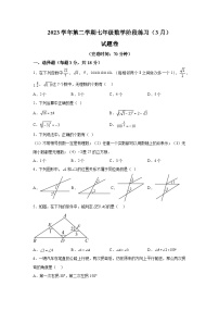 上海市曹杨第二中学附属学校2023-2024学年七年级下册月考数学试题（含解析）