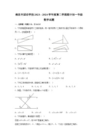 江苏省南京外国语学校2023-2024学年七年级下册期中数学试题（含解析）