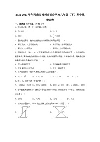 河南省郑州市2022-2023学年八年级下册期中数学试题（含解析）