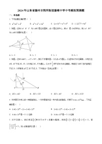 2024年山东省枣庄市滕州市荆河街道滕南中学中考数学模拟预测题（原卷版+解析版）