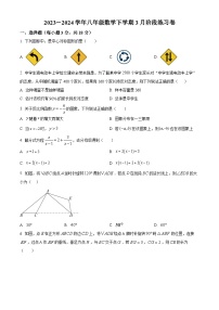 江苏省泰州市泰兴市实验初级中学2023-2024学年八年级下学期期中数学试题（原卷版+解析版）