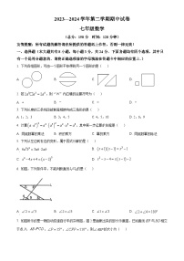 江苏省扬州市仪征市2023-2024学年七年级下学期期中4月数学试题（原卷版+解析版）