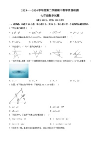 山东省菏泽市郓城县2023-2024学年七年级下学期4月期中数学试题（原卷版+解析版）