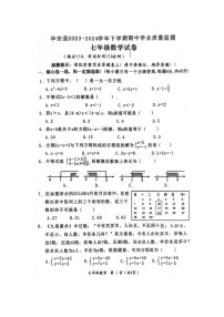 福建省漳州市华安县2023-2024学年七年级下学期4月期中数学试题