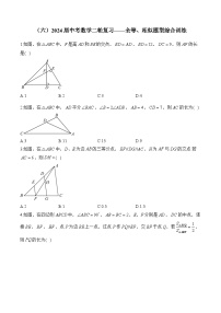 （六）2024届中考数学二轮复习—全等、相似题型综合训练