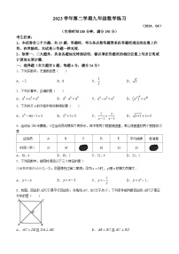 2024年上海市奉贤区中考二模数学试题(无答案)