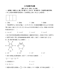 2024年山东省菏泽市郓城县一模数学模拟试题（原卷版+解析版）