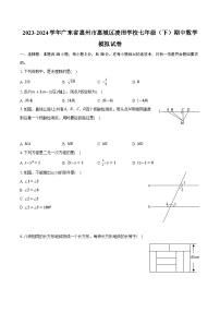 2023-2024学年广东省惠州市惠城区凌田学校七年级（下）期中数学模拟试卷(含解析）