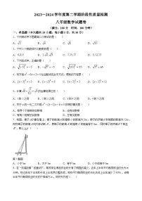 安徽省合肥市蜀山区琥珀教育集团2023-2024学年八年级下学期期中数学试题