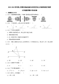 甘肃省武威市凉州区河东九年制学校联片教研2023-2024学年七年级下学期4月期中数学试题