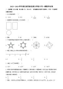 2024年湖北省阳新县部分学校中考一模数学试题（原卷版+解析版）