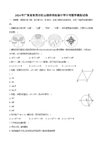 2024年广东省东莞市松山湖沙田实验中学中考数学模拟试卷(含解析）