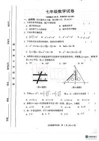 江苏省宿迁市泗洪县2023-2024学年七年级下学期4月期中数学试题