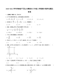 2020-2021学年河南省平顶山市舞钢市八年级上学期期中数学试题及答案