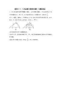 题型九 二次函数综合题 类型十二 二次函数与圆的问题（专题训练）-中考数学二轮复习满分冲刺题型突破（全国通用）