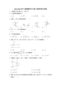 2023-2024学年人教版数学七年级下册期中练习试卷