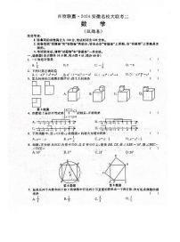 2024年安徽合肥百校联赢名校初三下学期4月大联考（二）数学试题+答案