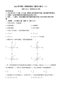 上海市上海世外教育集团附属崇明学校2023-2024学年九年级下学期月考数学试题（原卷版+解析版）